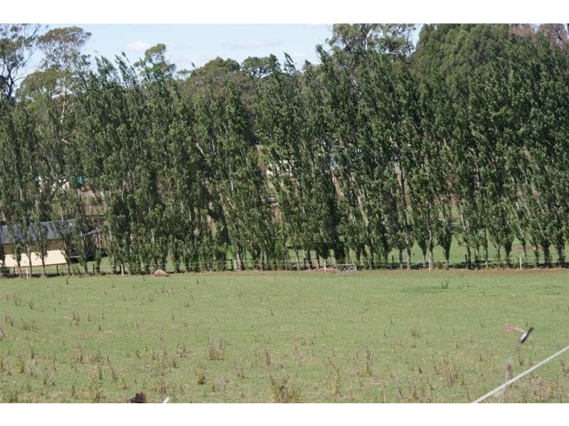 173 River Road, Deloraine TAS 7304