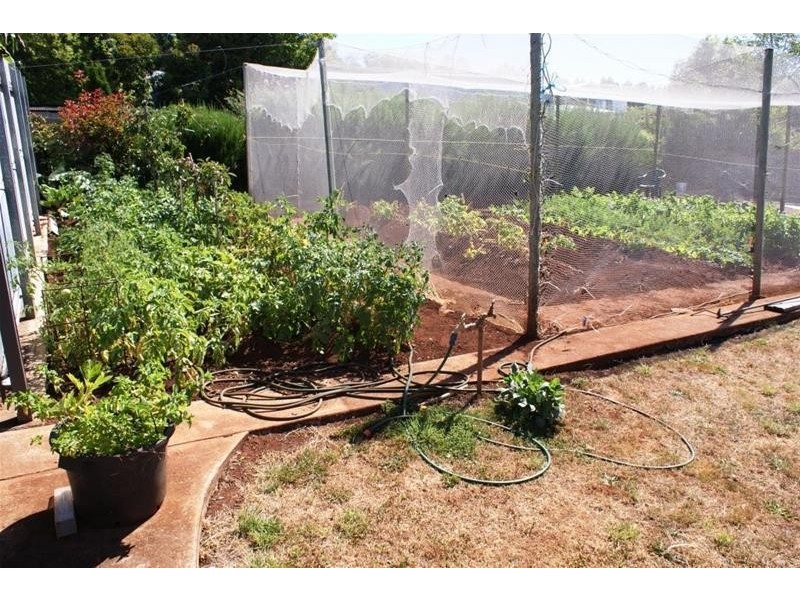 35 Gay Street, Deloraine TAS 7304