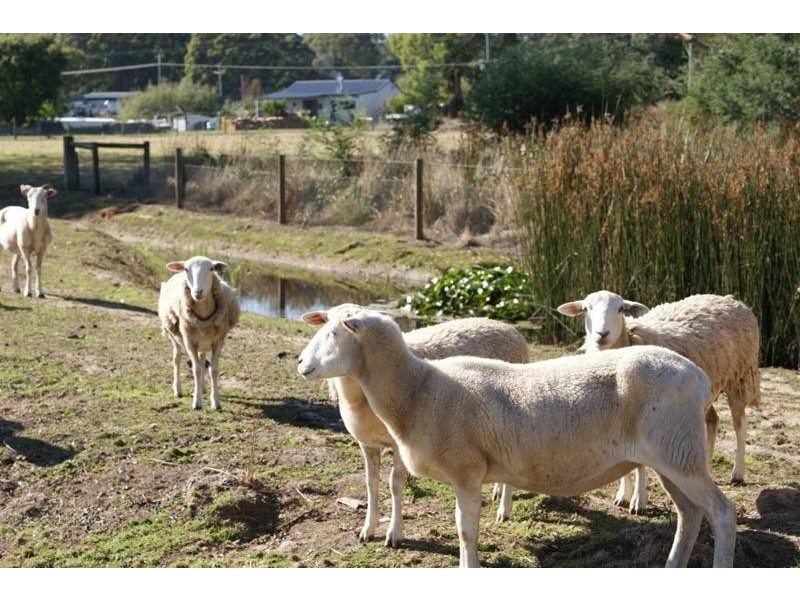 Lots 1 – 10 Morrison Street, Kimberley TAS 7304