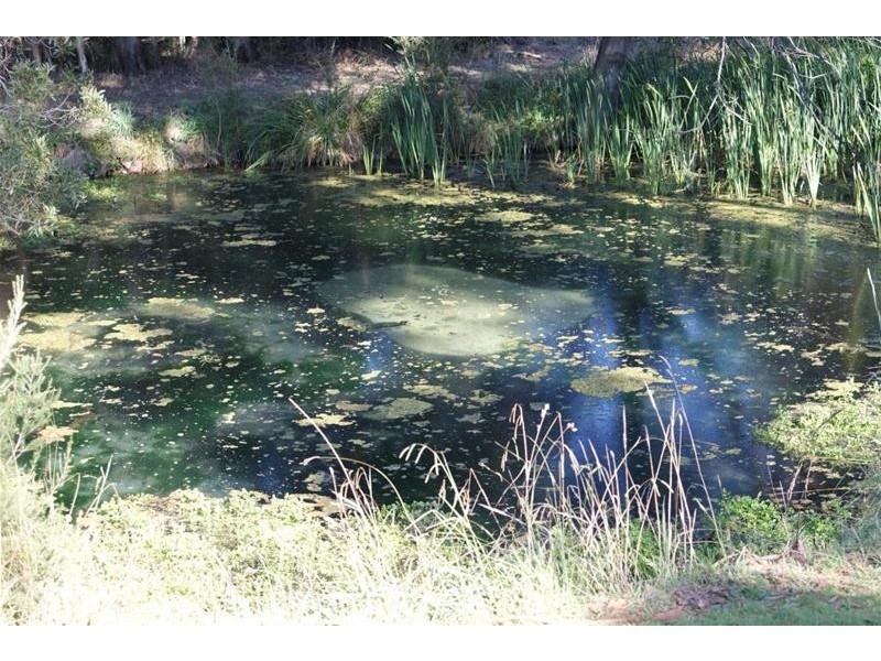 Lots 1 – 10 Morrison Street, Kimberley TAS 7304