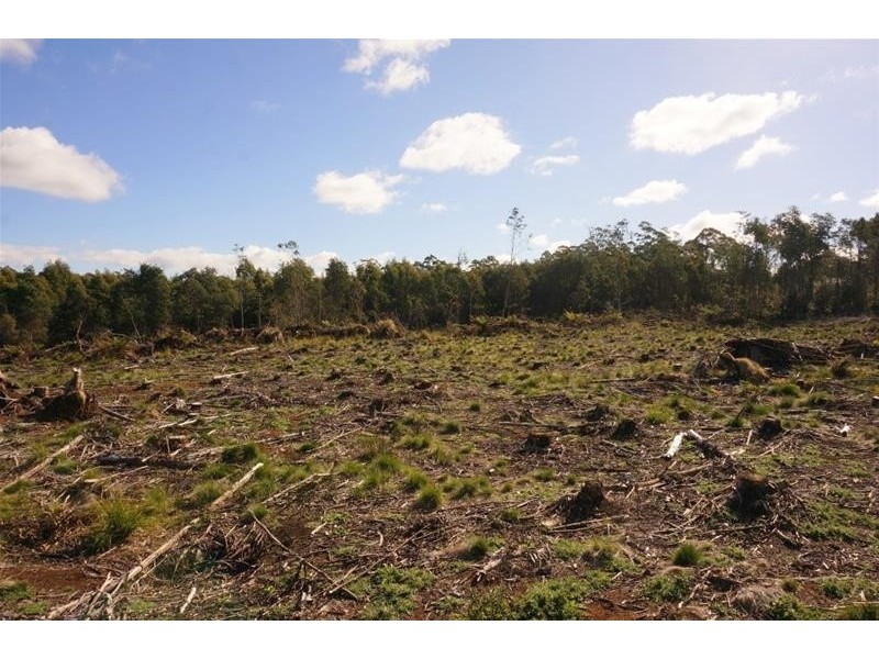 Lot 1 Old Gads Hill Road, Liena TAS 7304