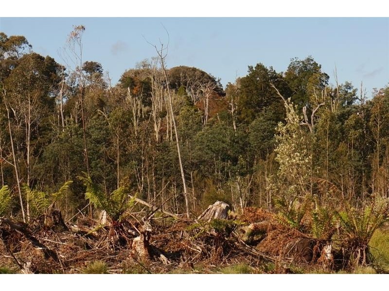 Lot 1 Old Gads Hill Road, Liena TAS 7304