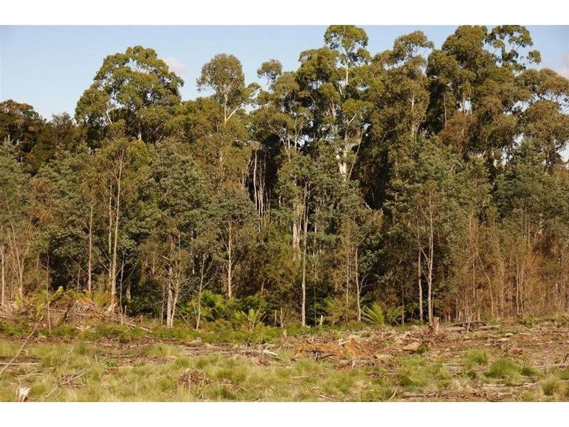 Lot 1 Old Gads Hill Road, Liena TAS 7304