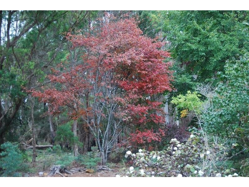 5988 Bass Highway, Elizabeth Town TAS 7304