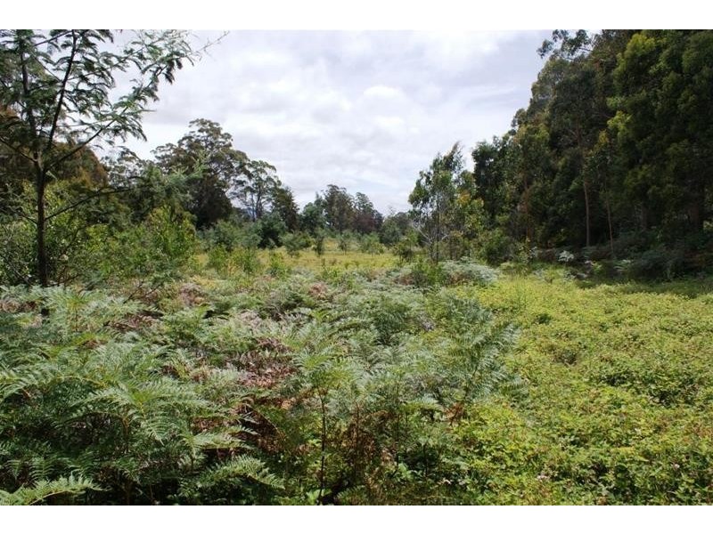 20 Bonney Street, Elizabeth Town TAS 7304