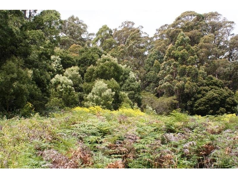 20 Bonney Street, Elizabeth Town TAS 7304