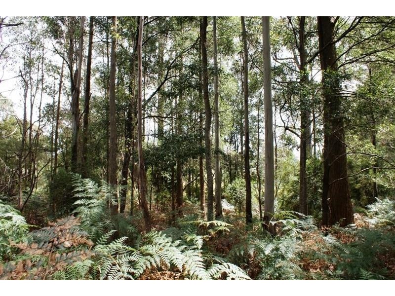 20 Bonney Street, Elizabeth Town TAS 7304