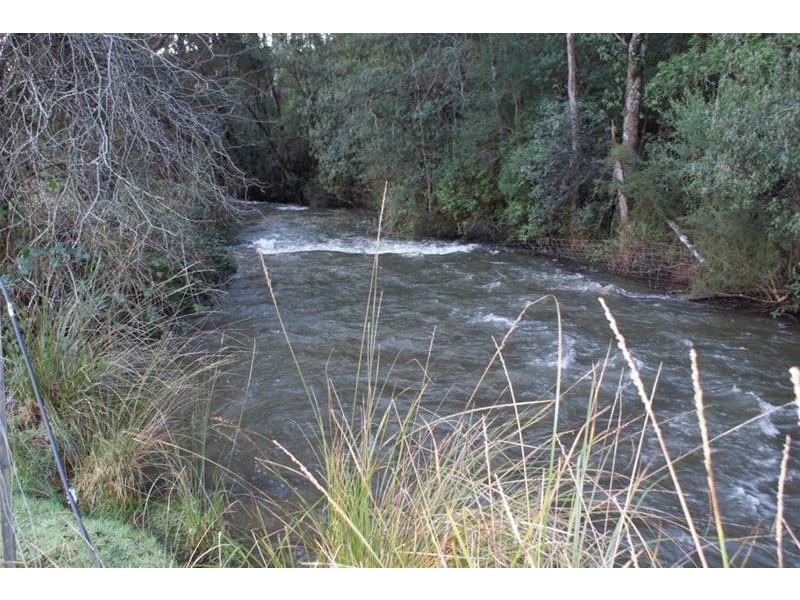385 Liena Road, Mole Creek TAS 7304