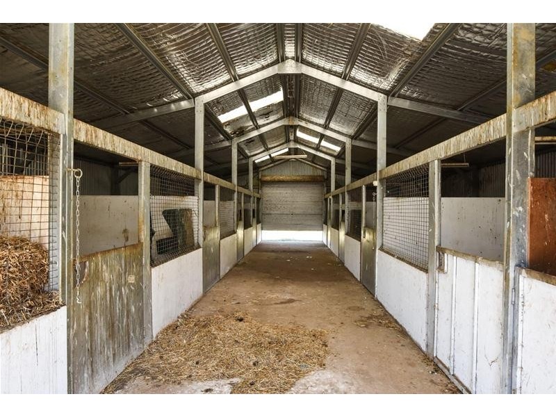 160 Clayfield Road, Bishopsbourne TAS 7301