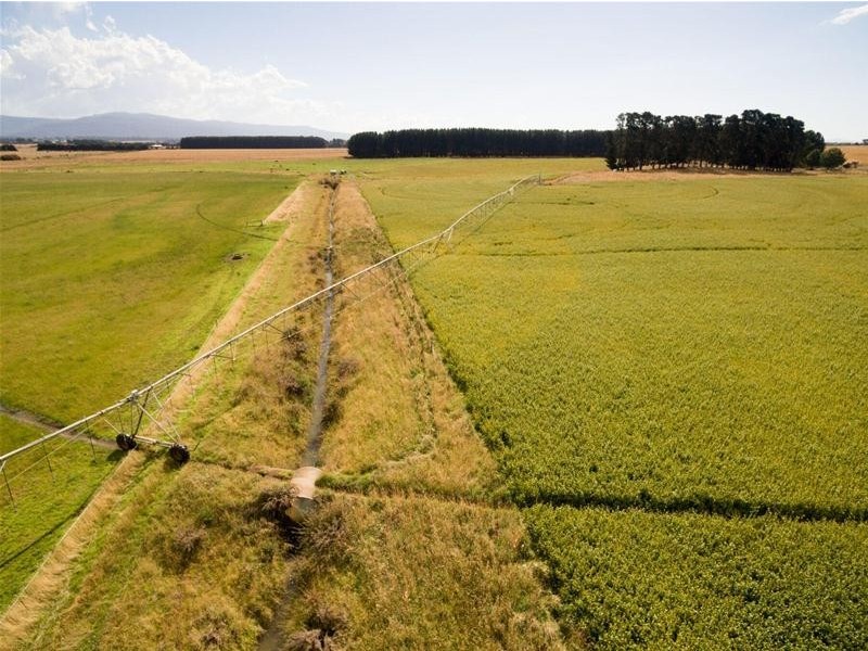 160 Clayfield Road, Bishopsbourne TAS 7301