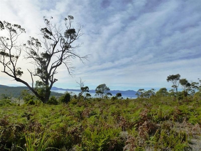 342 Heathy Hill Drive, Saltwater River TAS 7186