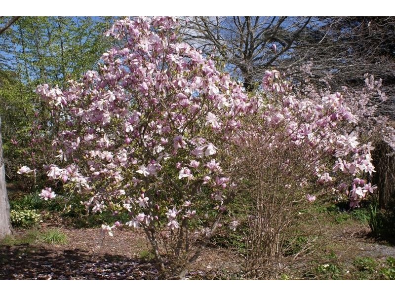 Lot 1 Bass Highway, Elizabeth Town TAS 7304