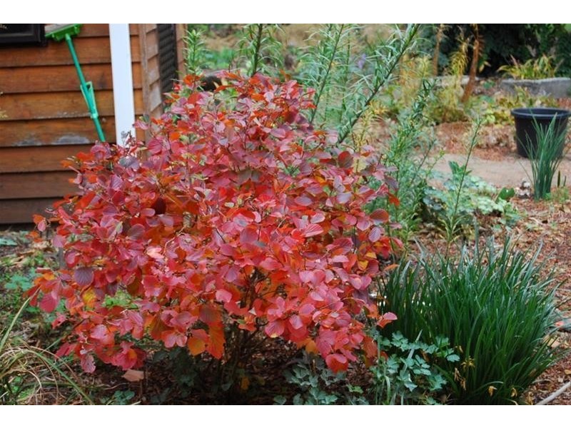 Lot 1 Bass Highway, Elizabeth Town TAS 7304