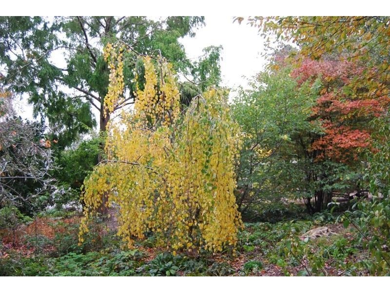 Lot 1 Bass Highway, Elizabeth Town TAS 7304