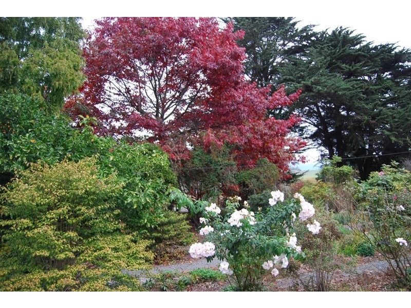 Lot 1 Bass Highway, Elizabeth Town TAS 7304