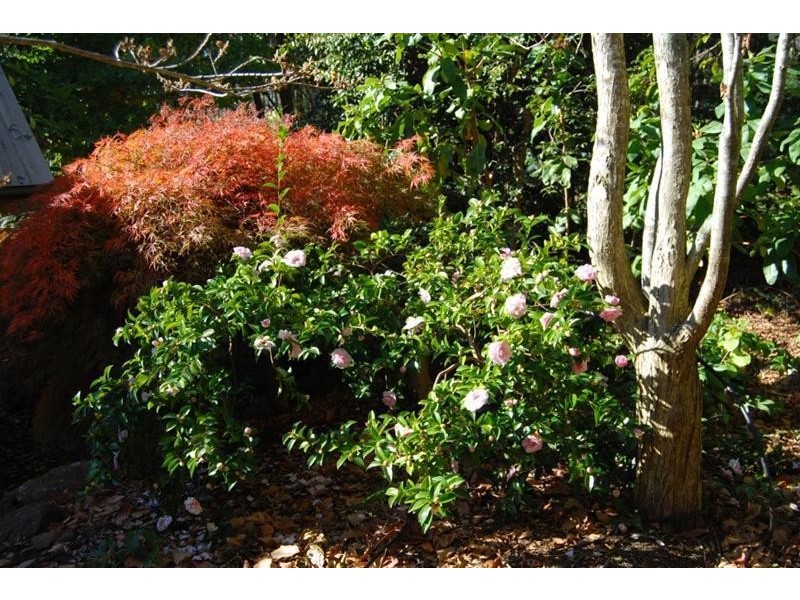 Lot 1 Bass Highway, Elizabeth Town TAS 7304