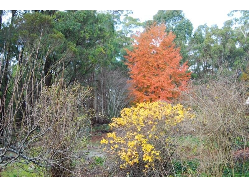 Lot 1 Bass Highway, Elizabeth Town TAS 7304