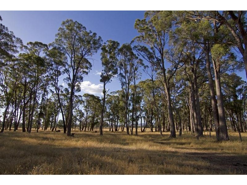 0 East Street to Bishopsbourne Road, Carrick TAS 7291