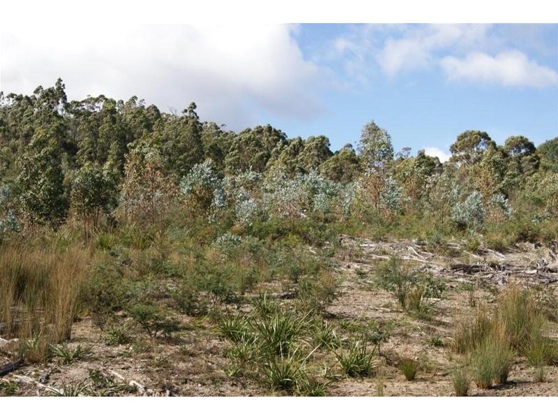 Lot 1 South Riana Road, South Riana TAS 7316
