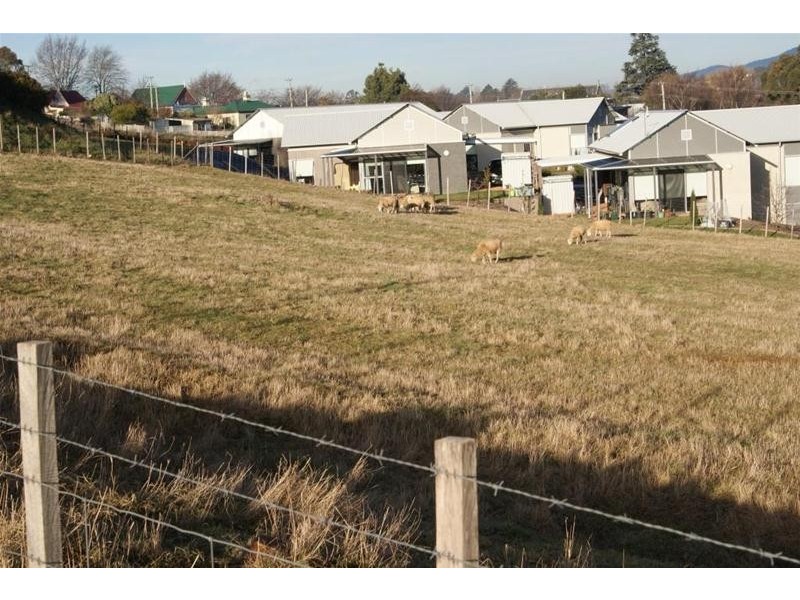 48 Beefeater Street, Deloraine TAS 7304