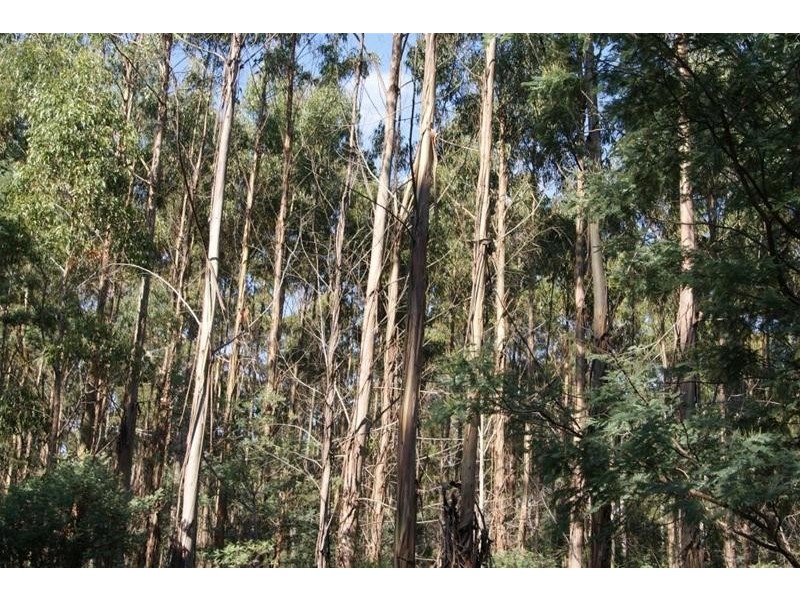 Lot 1 Tasman Highway, Targa TAS 7259