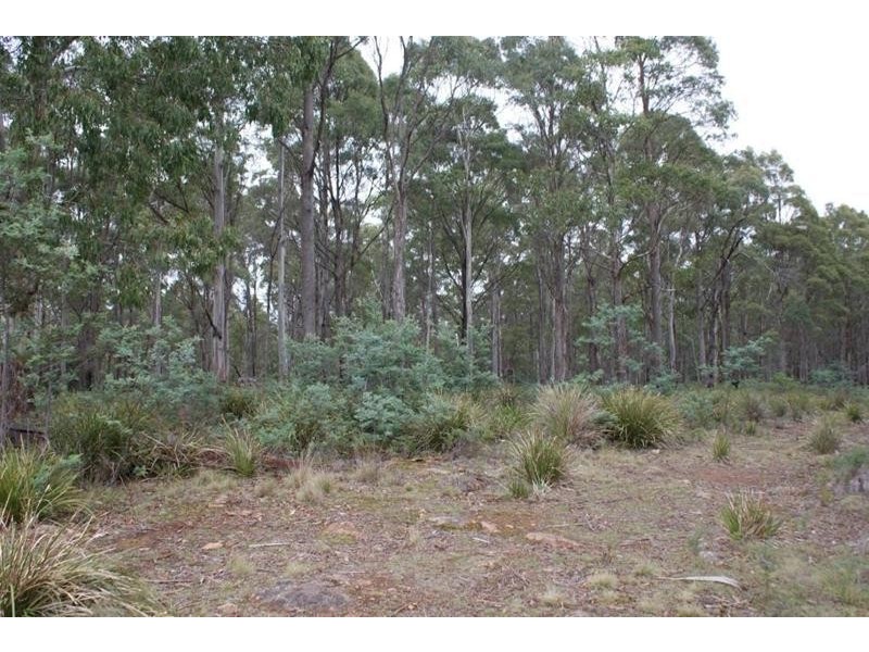 130 Farrells Road, Reedy Marsh TAS 7304