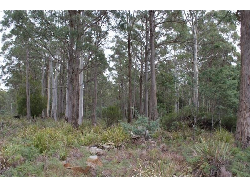 130 Farrells Road, Reedy Marsh TAS 7304