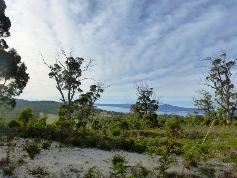 312 Heathy Hill Drive, Saltwater River TAS 7186