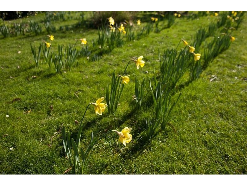 739 Quamby Brook Road, Quamby Brook TAS 7304