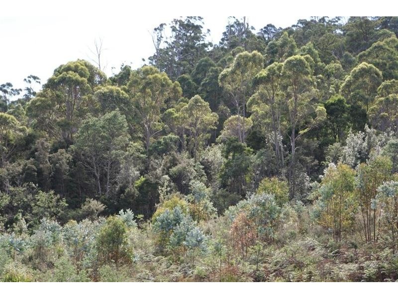 Lots 1 – 9 Lanes Tier Road, Ouse TAS 7140