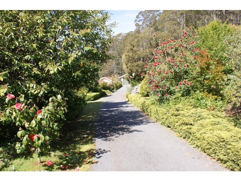 31 Barra Road, Deloraine TAS 7304