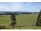 31 Barra Road, Deloraine TAS 7304