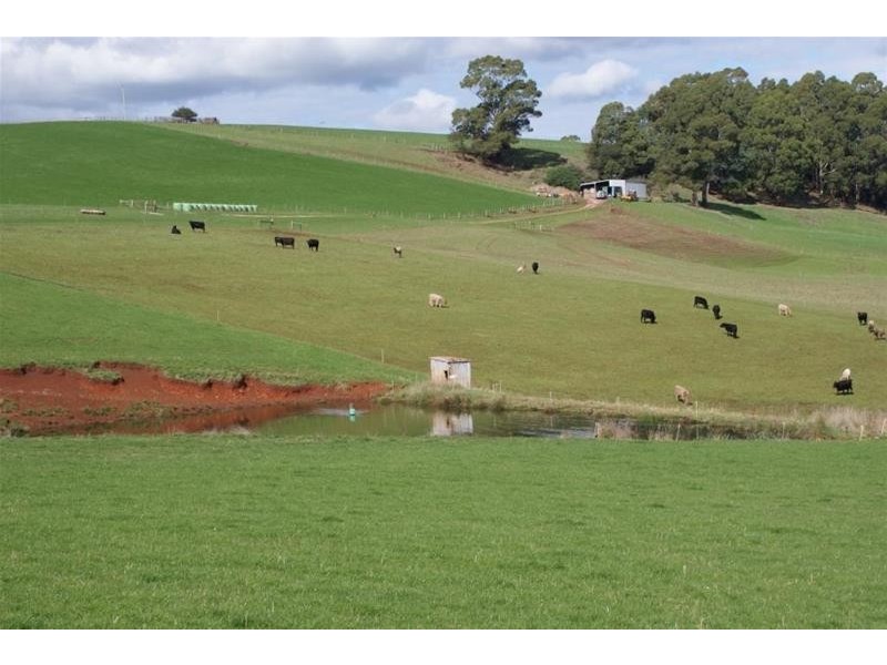 Lower Barrington TAS 7306