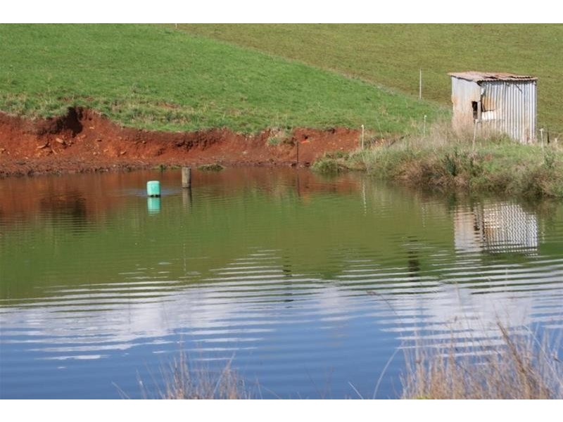 Lower Barrington TAS 7306