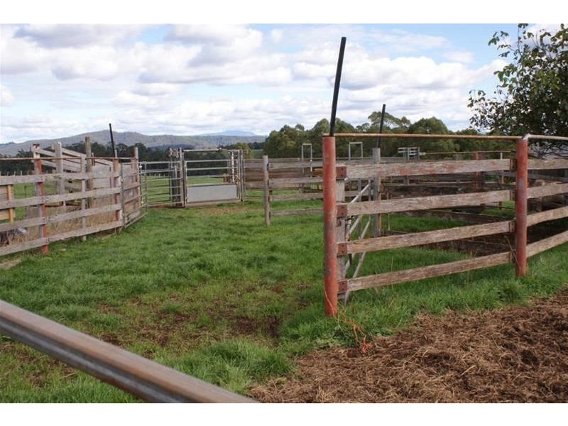 Lower Barrington TAS 7306