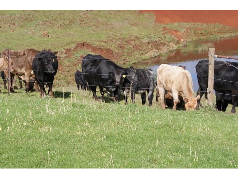 Lower Barrington TAS 7306