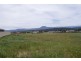 Lot 8 Nutt Street, Deloraine TAS 7304