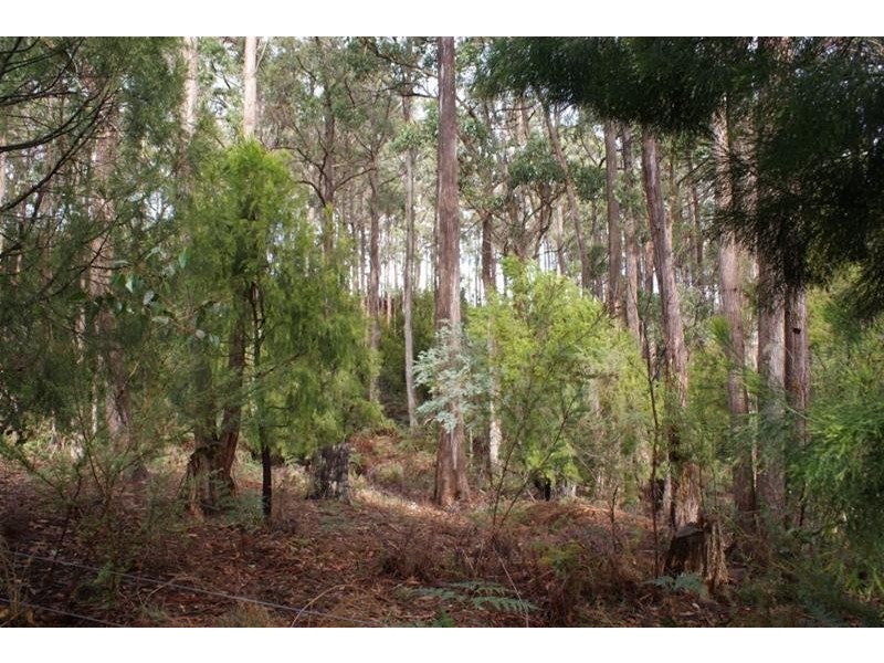 276 Quamby Brook Road, Quamby Brook TAS 7304