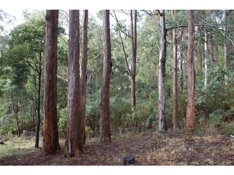 276 Quamby Brook Road, Quamby Brook TAS 7304