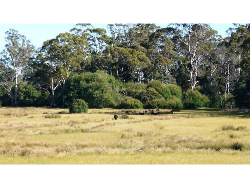 1136 Liffey Road, Liffey TAS 7301