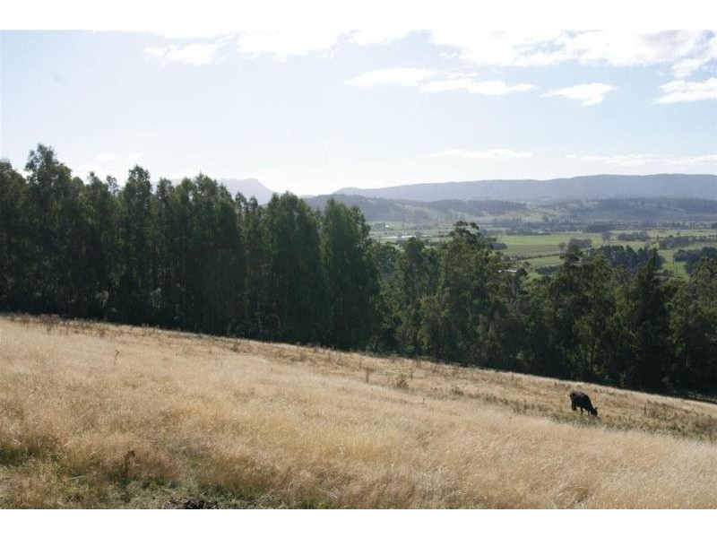 67 Crowden’s Road, Western Creek TAS 7304