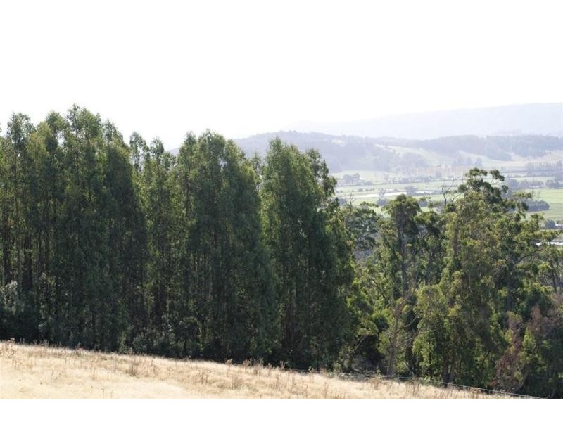 67 Crowden’s Road, Western Creek TAS 7304