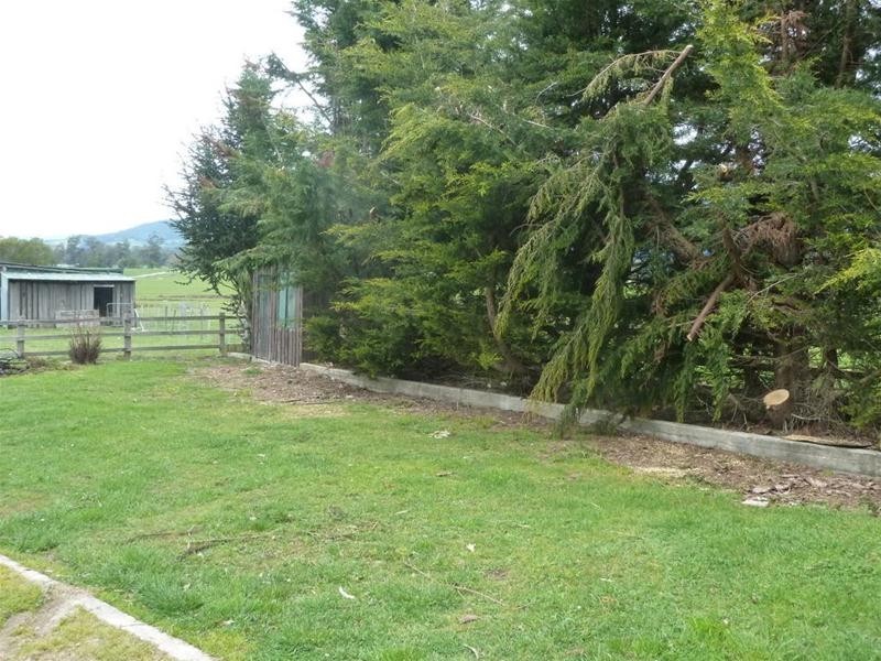 331  Western Creek Road, Western Creek TAS 7304