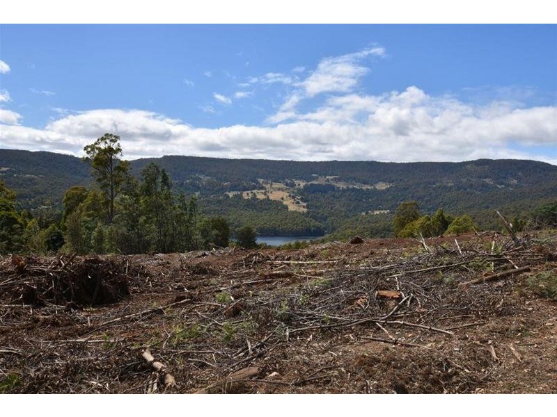 Lot 1 Dolcoath Road, Moina TAS 7310