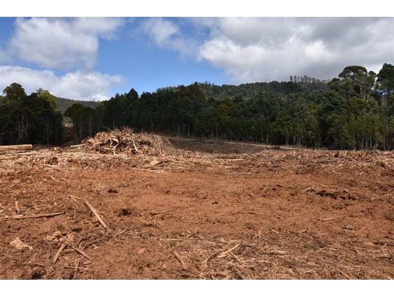Lot 1 Dolcoath Road, Moina TAS 7310