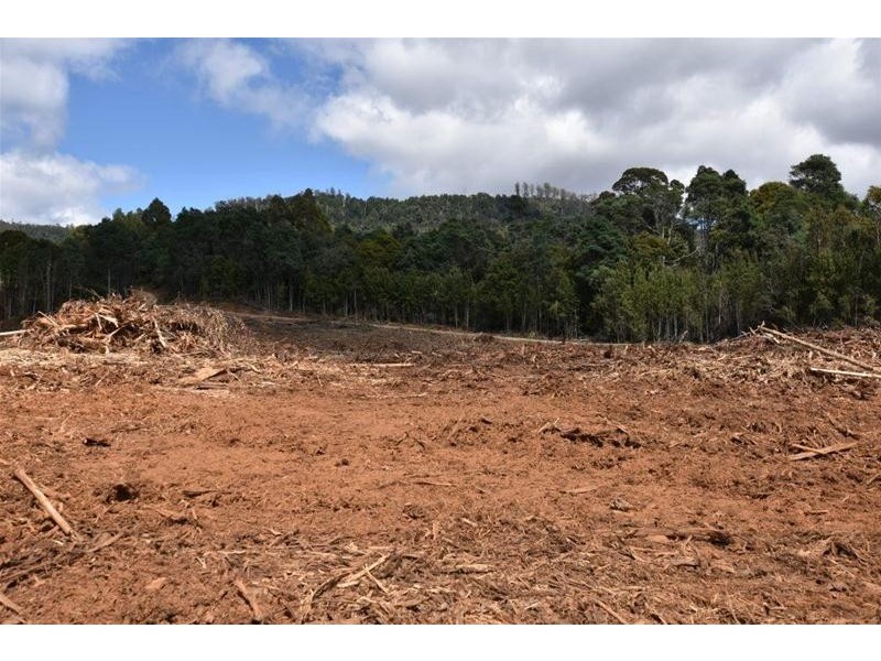 Lot 1 Dolcoath Road, Moina TAS 7310