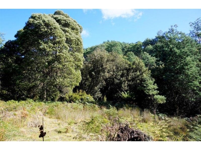 Lot 1 Dolcoath Road, Moina TAS 7310