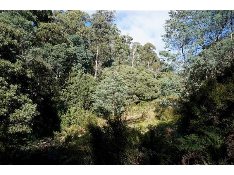 Lot 1 Dolcoath Road, Moina TAS 7310