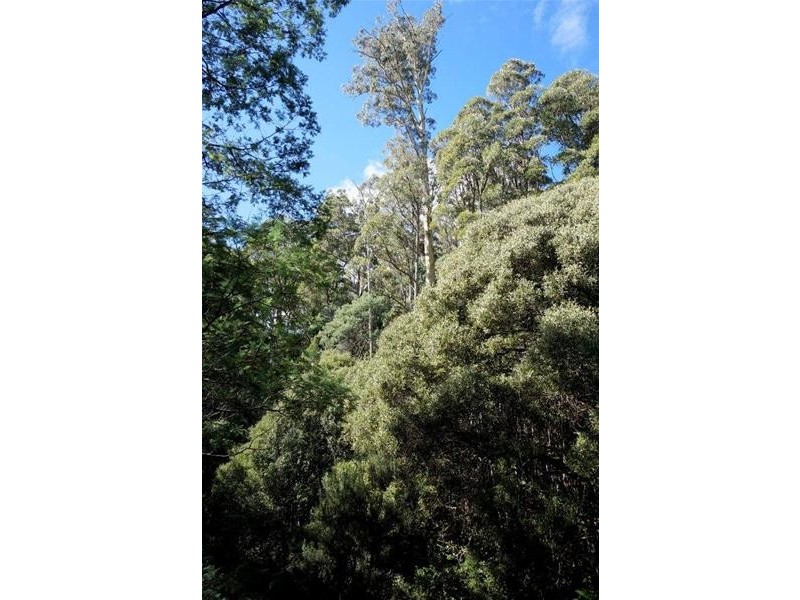Lot 1 Dolcoath Road, Moina TAS 7310