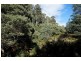 Lot 1 Dolcoath Road, Moina TAS 7310